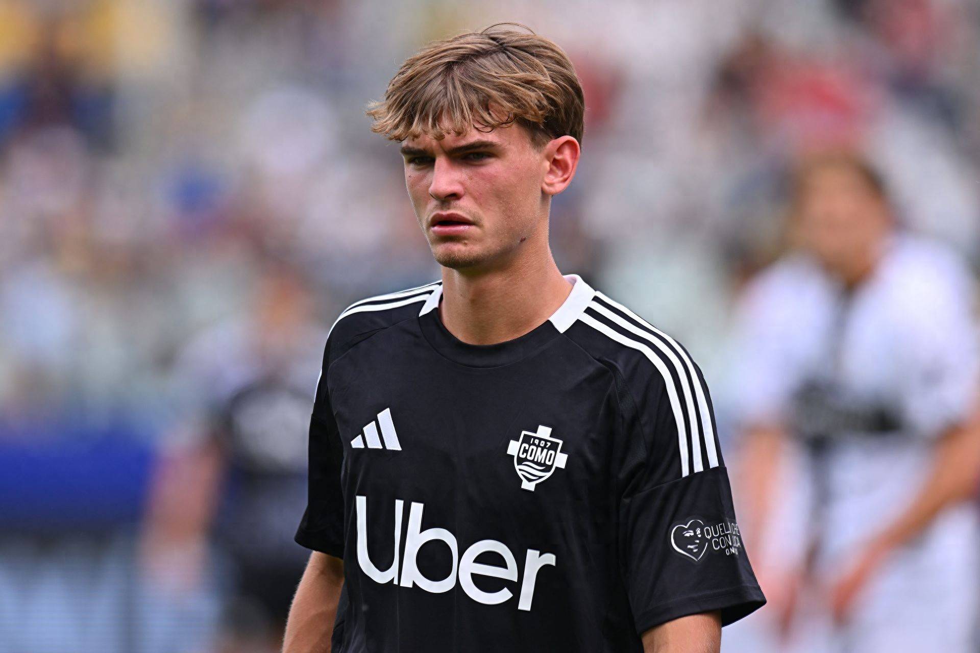 术多样性 术多样性