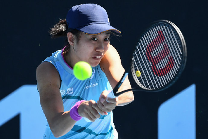 背景与进展 背景与进展