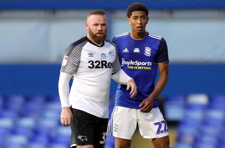 浅礁珊瑚花